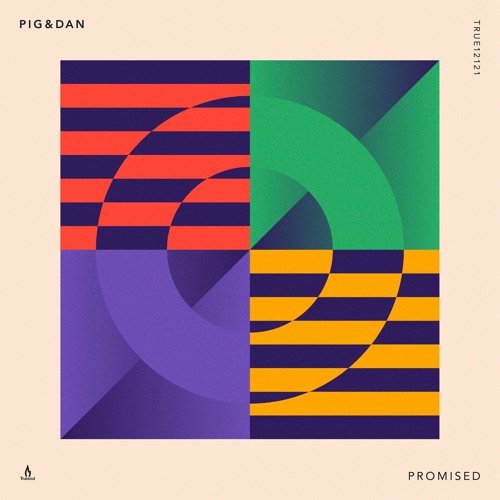Pig&Dan — Promised (Raxon Remix) — Truesoul — TRUE12121