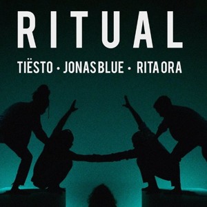 Ritual by Rita Ora and Tiesto and Jonas Blue (cover) להורדה