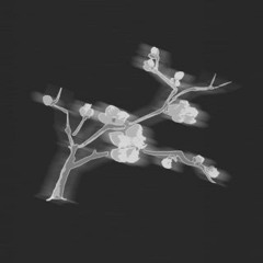 mother tree (remix)