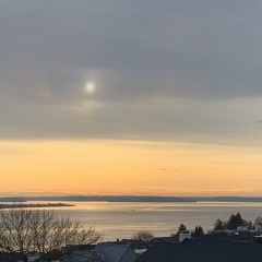 Showoff (Prod. Ocean Beats)