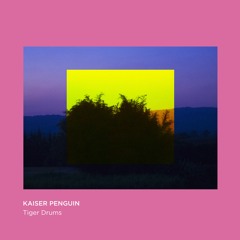 KAISER PENGUIN - Tiger Drums【OUT NOW!!】