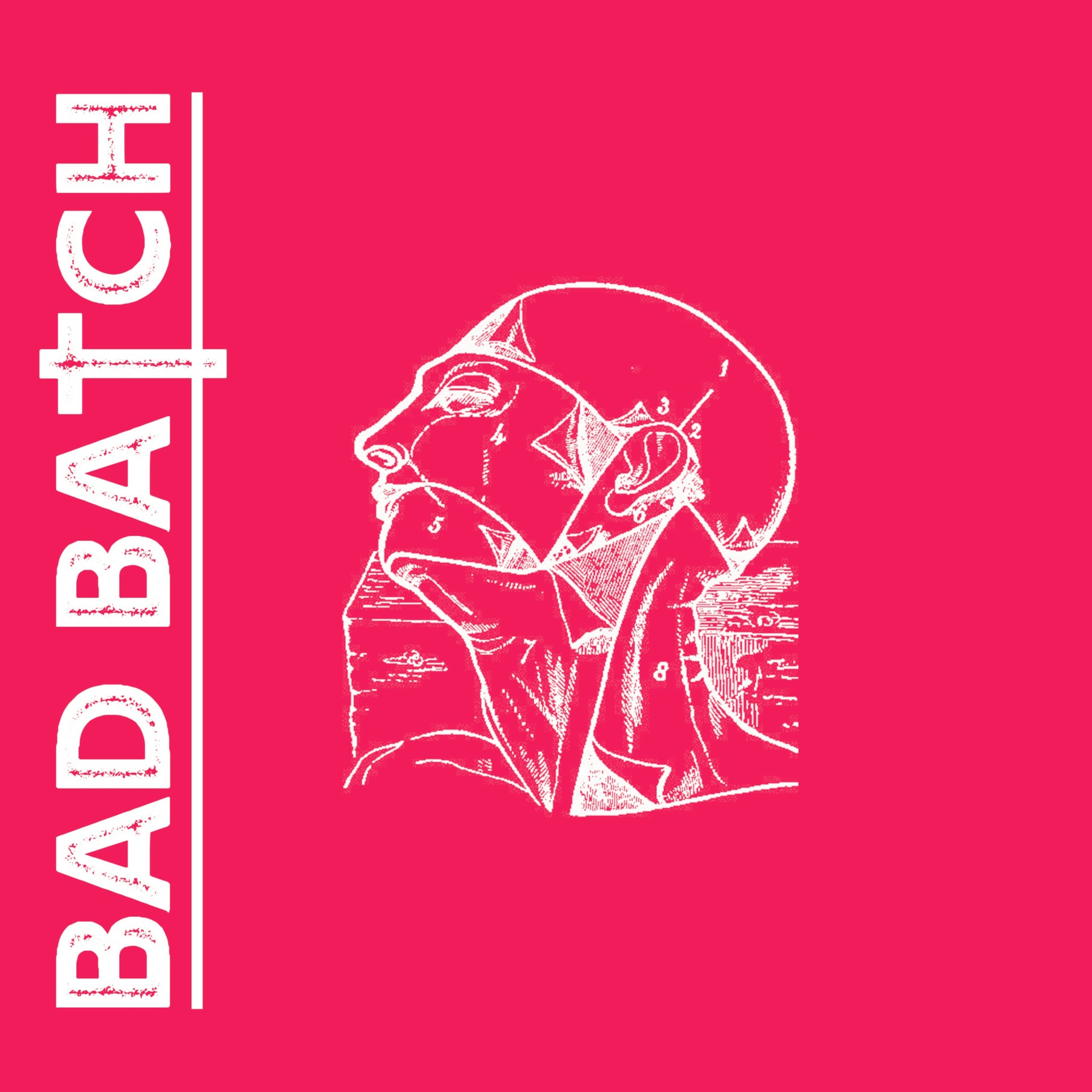 Bad Batch (Beefsdick Remix) episode artwork