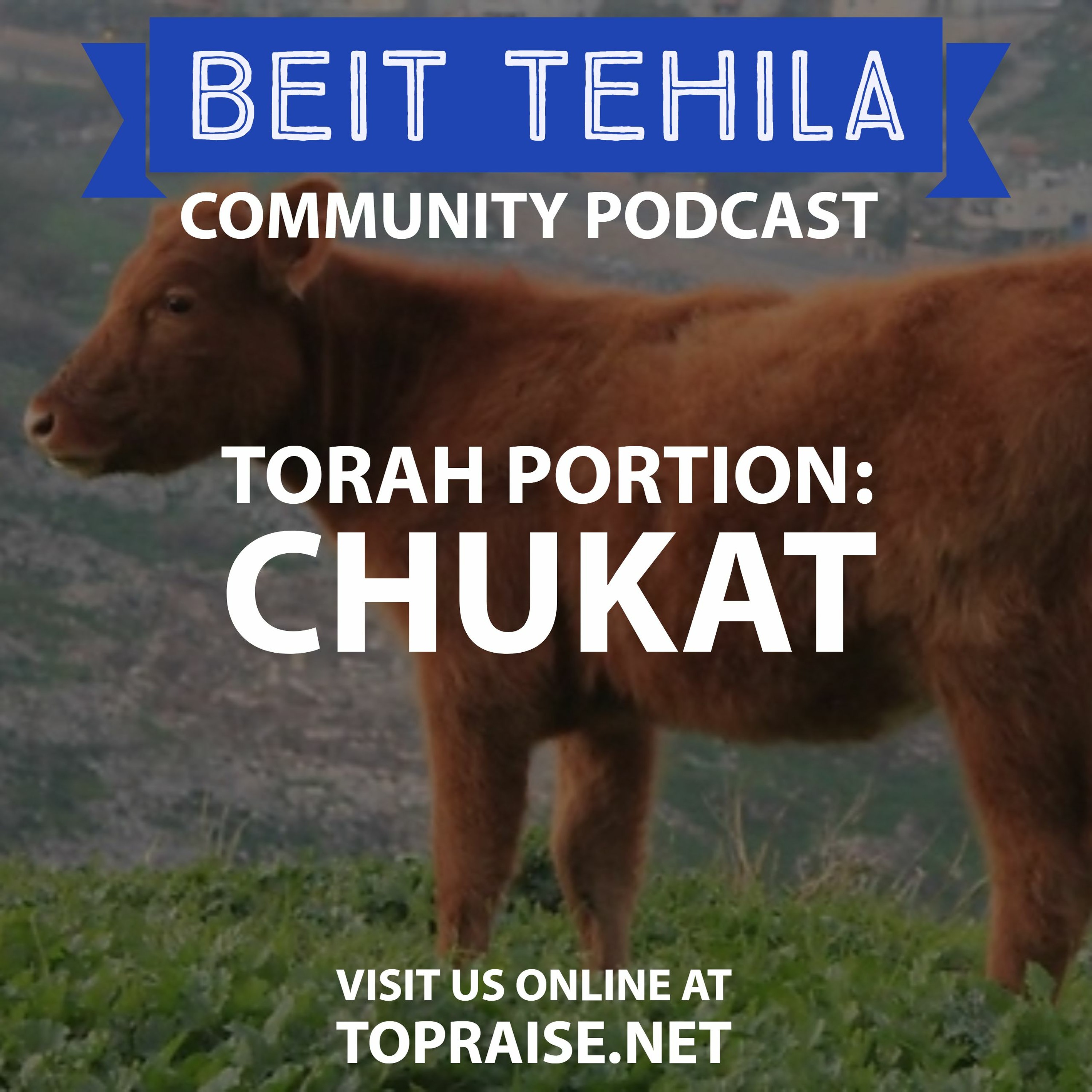 Christian\'s with Torah - The BeitTehila Podcast | Pastor Nick Plummer & Ryan Cabrera
