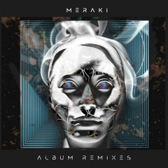 PartyWave - Meraki [Prophet feat. Dallas Brown Flute Medicine Remix]