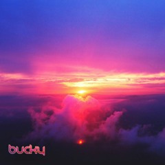 Bucky - Southend