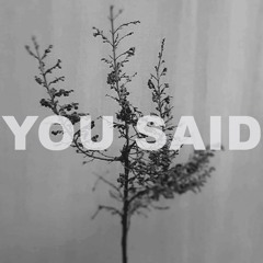 You Said