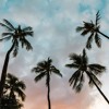 Senorita By Shawn Mendes And Camila Cabello Fp M Remix Instrumental Mp3
