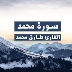 سورة محمد بصوت القارئ طارق محمد - تلاوة خاشعة