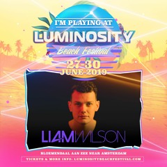 Liam Wilson - Live @ Luminosity Beach Festival 2019