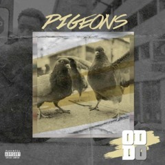Pigeons