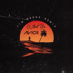 Without You - Avicii feat. Sandro Cavazza (Tim Maggs Remix)
