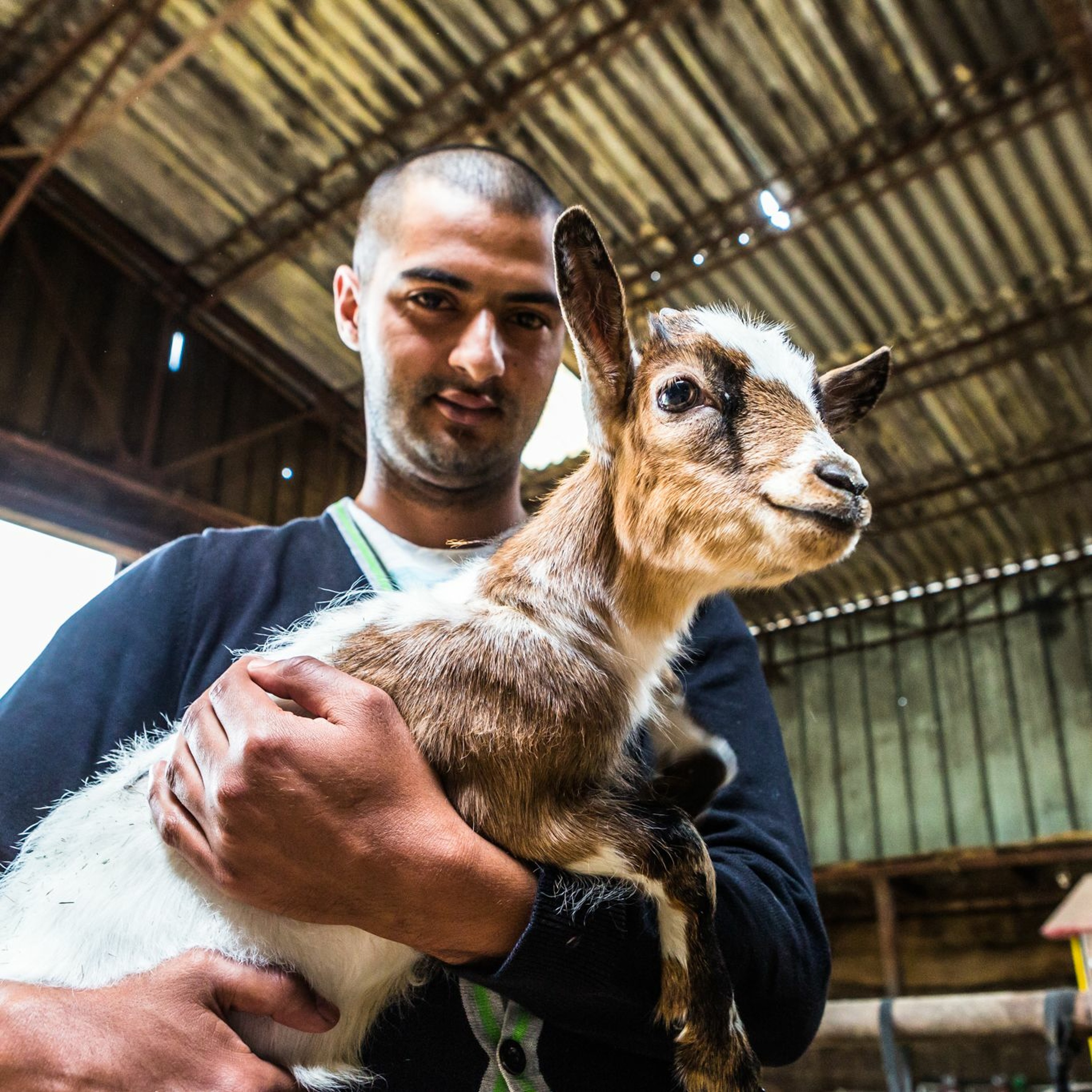 En Belgique des fermes accueillent des personnes en difficultés