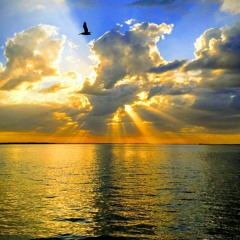 Ocean Man by Ween for Ukulele