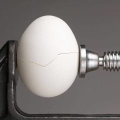 Livin Fold x HCjoondough