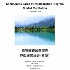 10分鐘靜心呼吸練習(粵語) 10 Min MBSR Breathing Exercise In Cantonese