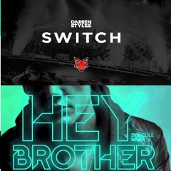 Avicii - Hey Brother vs Darren Styles - Switch (Butters Mashup)