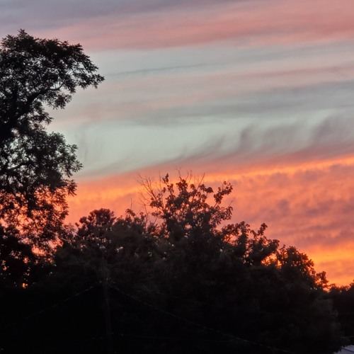 You Don't Want Me Anymore