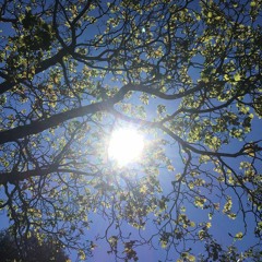 Light As A Feather Demo 2017