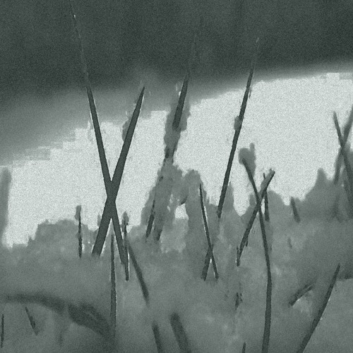 Fjernsind - Stains Of Winter's Grass
