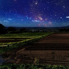 打楽器七重奏「Night cultivation」