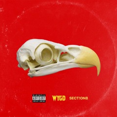 What You Gone Do freestyle