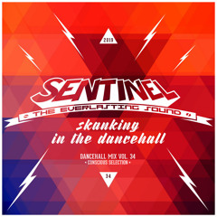 Sentinel Sound - Dancehall Mix Vol 34 - Conscious Selection - Skanking In The Dancehall [2019]