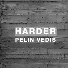 Harder Podcast #002 - Pelin Vedis