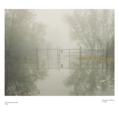 K. Leimer  'Weather On The Fen'