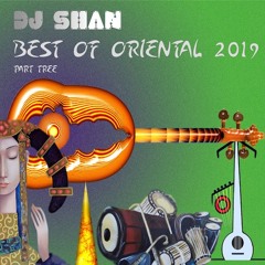 BEST OF ORIENTAL HOUSE  (part 3) BY DJ SHAN