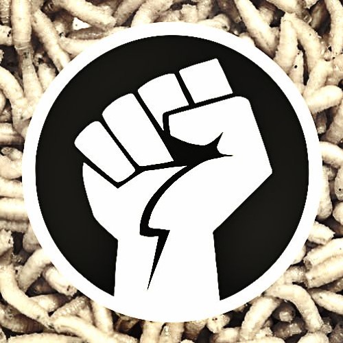 Maggots Banger (feat. Scalpel)