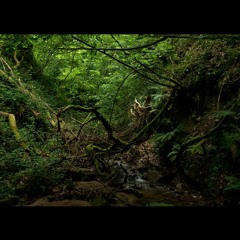 Nigm - LostMix#1