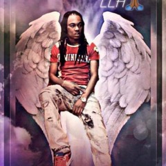 LLH (LongLiveHarold)