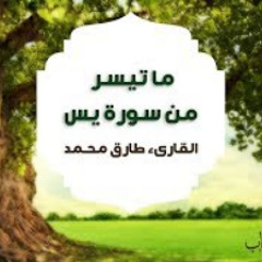حلق مع القرآن / تلاوة ندية من سورة يس | القارئ طارق محمد