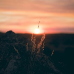 For Sleepy Days - Music by Jojo Andersson