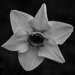 Listening To Series: 09