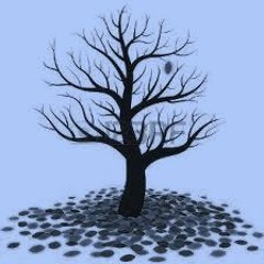 5 - La fin de l'Automne