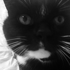 Heavenly Father Cover