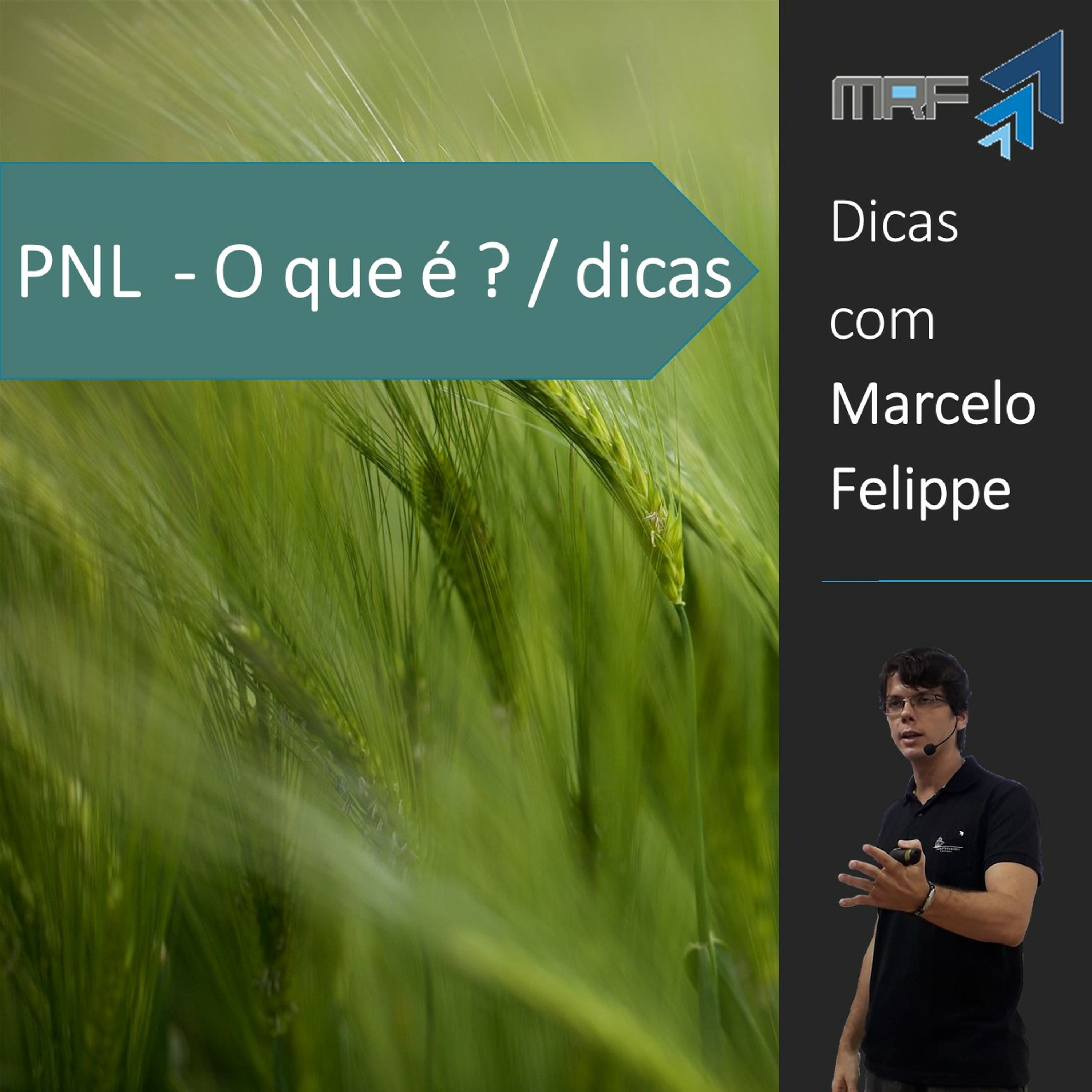 Marcelo Felippe