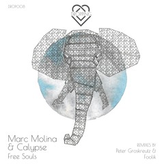 Marc Molina & Calypse - Free Souls (Peter Groskreutz Remix)