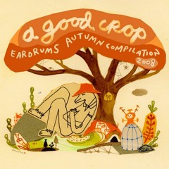 Shirley Poppy - Wool Strings