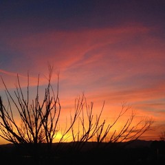 Blessed Motion - 7:2:19, 11.01 PM
