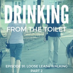 #91: Loose Leash Walking - Part 2