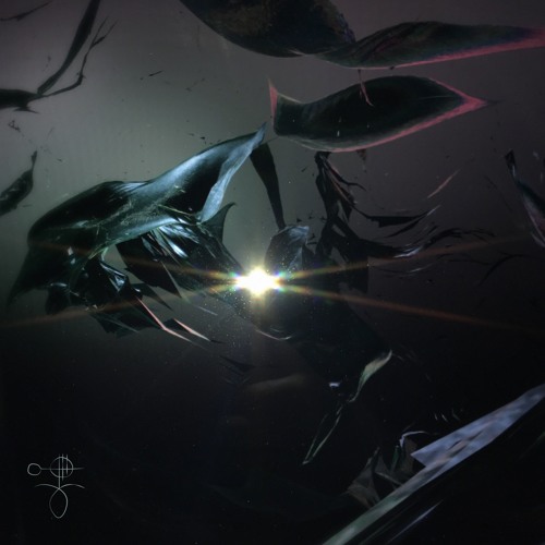 Hydropsyche - Dacryoadenitis