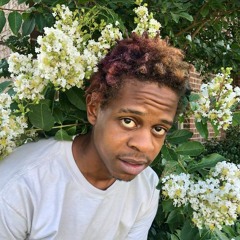 Gang n a Bus (Cease)