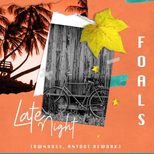 Foals - Late Night (Ownboss & Antdot Rework)