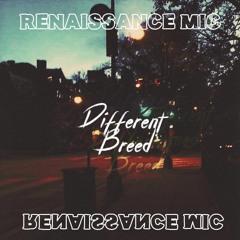 Different Breed (Prod. By MiiiKXY)