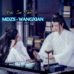The Untamed - Wangxian [MDZS]
