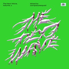 The Next Wave, Volume. 2 - Mixed by Composuresquad