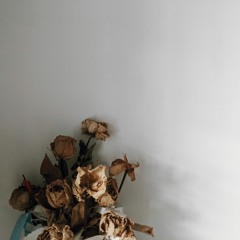 Hà Nhi - Dĩ Vãng Nhạt Nhoà ( MinhNhat Flip )