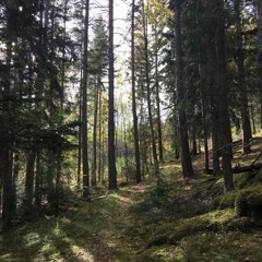 ⚛☯広大宇宙☯⚛